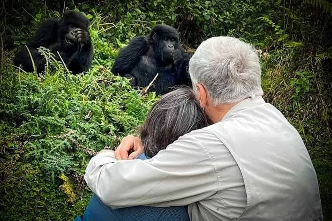 1-Day Rwanda Gorilla Trekking Experience - Volcanoes National Park