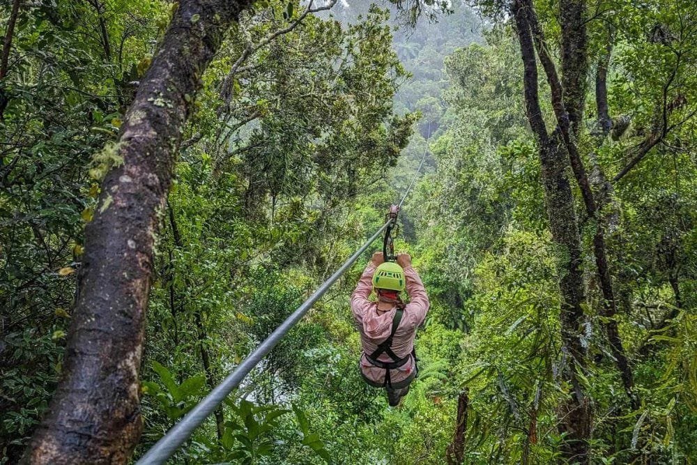 8-Day Rwanda Wonders Safari – Gorilla Trekking, Big Five & Nyungwe Forest Adventure